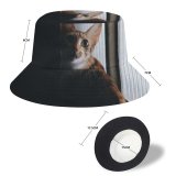 yanfind Adult Fisherman's Hat Lovely Gatinhos Images Pet Manx Public Wallpapers Decor Abyssinian Gold Pictures Exposição Fishing Fisherman Cap Travel Beach Sun protection