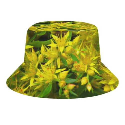yanfind Adult Fisherman's Hat Planter Images Photo Bush Pottery Potted Flowers Macro Jar Herbs Grass Vase Fishing Fisherman Cap Travel Beach Sun protection