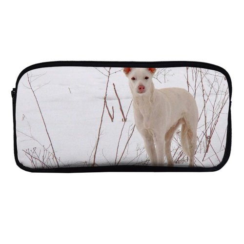 yanfind Pencil Case YHO Kryvyi Images Region Pet Last Wool Year's Dry Dnipropetrovsk Snow Grass Wallpapers Zipper Pens Pouch Bag for Student Office School