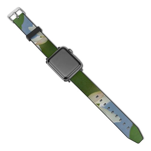 yanfind Watch Strap for Apple Watch Flower Wallpapers Images Domain Grey Plant Petal Lotus Pond  Lily Public Compatible with iWatch Series 5 4 3 2 1