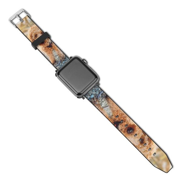 yanfind Watch Strap for Apple Watch Dog Pet Free Pictures Poodle Images Puppies Compatible with iWatch Series 5 4 3 2 1