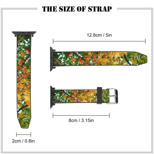 yanfind Watch Strap for Apple Watch Creative Wallpapers Images Plant Pictures Leaf Maple Tree Autumn 中国山东省青岛 Commons Compatible with iWatch Series 5 4 3 2 1