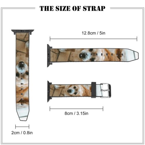 yanfind Watch Strap for Apple Watch Walkway Pet Strap Pavement Pictures Floor Stock Spaniel Flagstone Cocker Free Compatible with iWatch Series 5 4 3 2 1