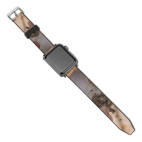 yanfind Watch Strap for Apple Watch Decor Pet Free Pictures Home Abyssinian Cat Images Manx Compatible with iWatch Series 5 4 3 2 1