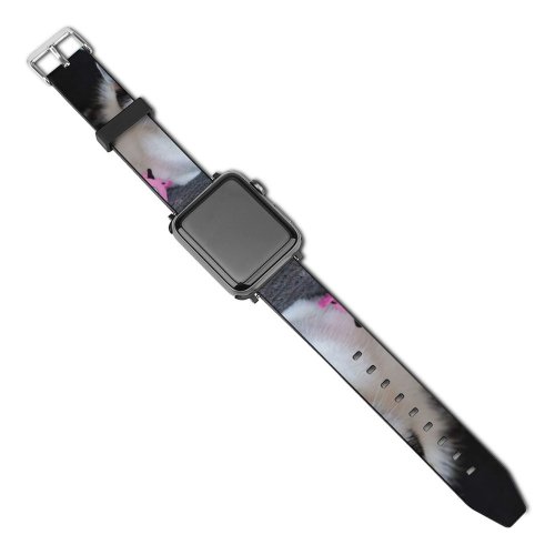yanfind Watch Strap for Apple Watch Funny Curiosity Sit Love Little Pretty  Portrait Stripe Kitten Whisker Downy Compatible with iWatch Series 5 4 3 2 1