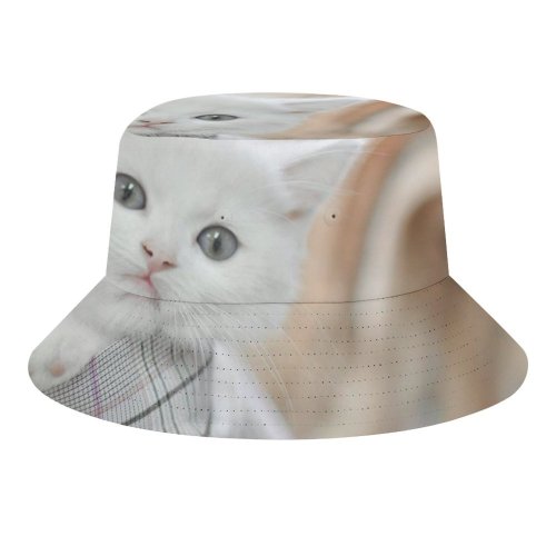 yanfind Adult Fisherman's Hat Lovely Creative Images Wallpapers Grey Commons Pictures Pet Kitten Angora Cute Cat Fishing Fisherman Cap Travel Beach Sun protection
