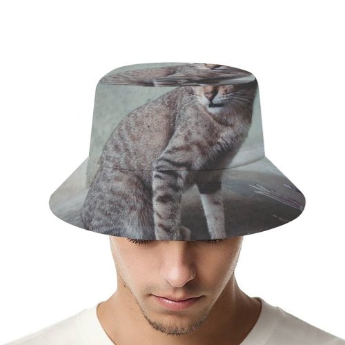 yanfind Adult Fisherman's Hat Lovely Kitty Images Pet Eye Manx Wallpapers Decor Abyssinian Free Blueish Pictures Fishing Fisherman Cap Travel Beach Sun protection