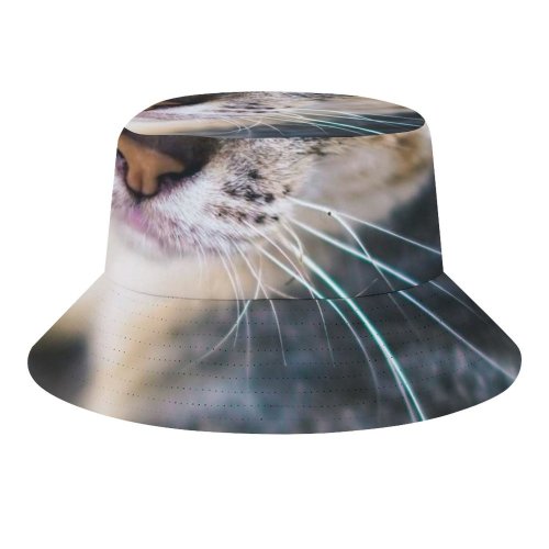 yanfind Adult Fisherman's Hat Lovely Images Penh Shoot Abyssinian Pictures Pet Kitten PNG Phnom Cambodia Cat Fishing Fisherman Cap Travel Beach Sun protection