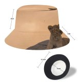 yanfind Adult Fisherman's Hat Sunset Images Lion Wildlife Wallpapers Pictures Public Cub Domain Fishing Fisherman Cap Travel Beach Sun protection