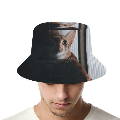 yanfind Adult Fisherman's Hat Lovely Gatinhos Images Pet Manx Public Wallpapers Decor Abyssinian Gold Pictures Exposição Fishing Fisherman Cap Travel Beach Sun protection
