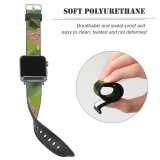 yanfind Watch Strap for Apple Watch  Leaf Grape Grapes Leaves Wine Flower Plant Flowering Botany Nettle Family Compatible with iWatch Series 5 4 3 2 1