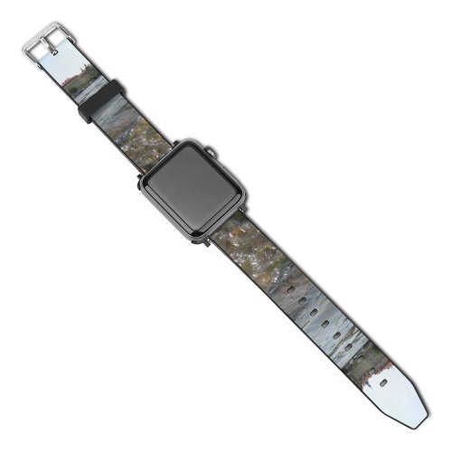 yanfind Watch Strap for Apple Watch Swans Birds Prague Vltava River Charles  Czech Republic Resources Watercourse Rapid Compatible with iWatch Series 5 4 3 2 1