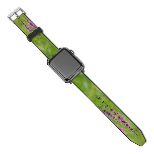 yanfind Watch Strap for Apple Watch Plants Flowers Meadow Wild Summer Violet Grass Flower Flowering Plant Wildflower Ironweed Compatible with iWatch Series 5 4 3 2 1