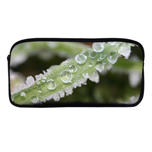 yanfind Pencil Case YHO Dew Winter Macro Drop Leaf Dew Plant Blade  Frost Grass Moisture Zipper Pens Pouch Bag for Student Office School