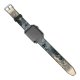 yanfind Watch Strap for Apple Watch Winter Beautiful Place Morning Winter Natural Atmospheric Where Landscape Sky Branch Poland Compatible with iWatch Series 5 4 3 2 1