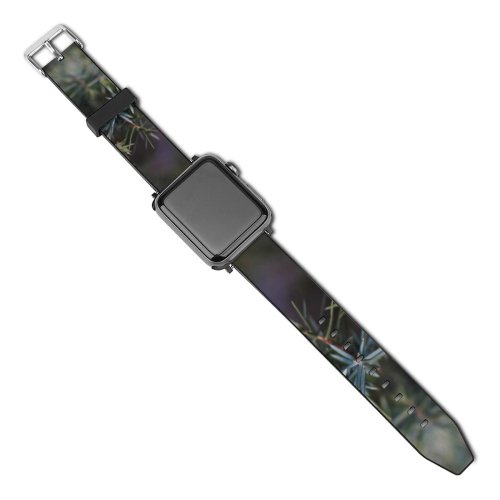 yanfind Watch Strap for Apple Watch Abies Pine Plant Forest Berries Россия Plants Needles Pictures Утриш PNG Compatible with iWatch Series 5 4 3 2 1