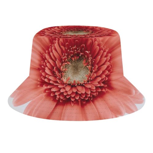 yanfind Adult Fisherman's Hat Paweł Czerwiński Flowers Gerbera Daisy Flower Closeup Macro Blossom Bloom Spring Flower Fishing Fisherman Cap Travel Beach Sun protection