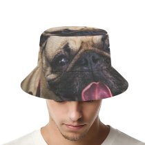 yanfind Adult Fisherman's Hat Lovely Images Nuevo Pet Laredo Eye Panting Public Tongue Wallpapers Lick Pictures Fishing Fisherman Cap Travel Beach Sun protection