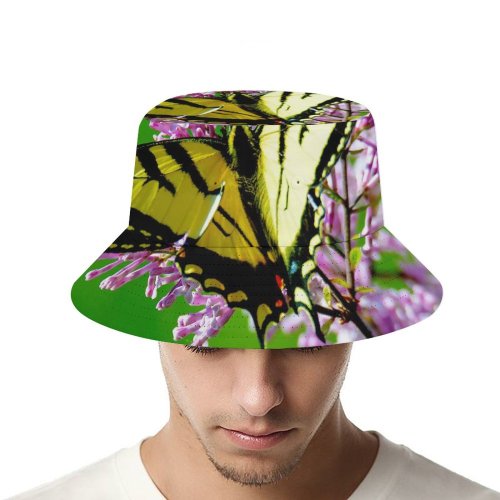 yanfind Adult Fisherman's Hat Images Insect Colorful Flora Wing Public Lilac Wallpapers Wildlife Plant Invertebrate Pictures Fishing Fisherman Cap Travel Beach Sun protection