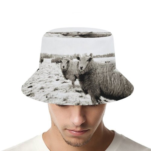 yanfind Adult Fisherman's Hat Winter Grazing Goat Landscape Landscape Bovine Gronigen Netherlands Pasture Snout Cow Herd Fishing Fisherman Cap Travel Beach Sun protection