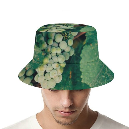 yanfind Adult Fisherman's Hat Leafe Images Spain Flora Vine Grapes Frontera Wallpapers Plant De Produce Pérez Fishing Fisherman Cap Travel Beach Sun protection