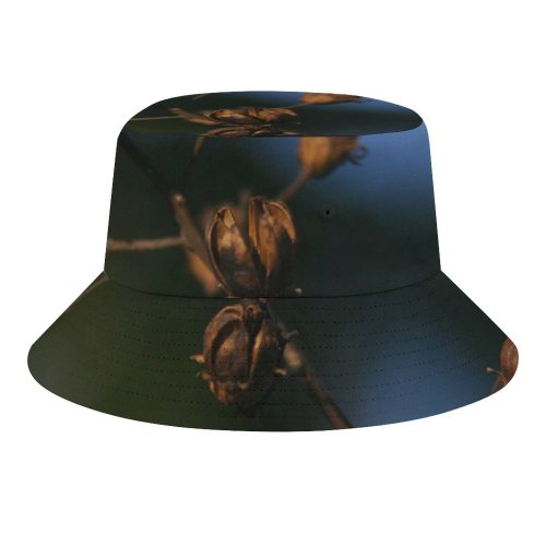 yanfind Adult Fisherman's Hat Winter Spring Autumn Larch Plant Fall Nuts Branch Flower Leaf Twig Fruits Fishing Fisherman Cap Travel Beach Sun protection