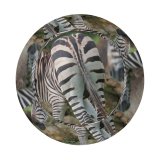 yanfind Adult Fisherman's Hat Images Country Fl Wildlife Wallpapers Safari Loxahatchee Stripes Zebra Pictures Creative Lion Fishing Fisherman Cap Travel Beach Sun protection