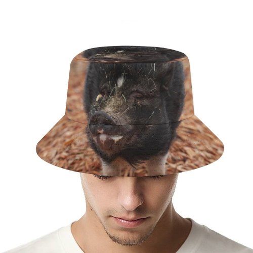 yanfind Adult Fisherman's Hat Sanctuary Images Hog Wallpapers Grey Pictures Happy Pig Boar Farm Stock Free Fishing Fisherman Cap Travel Beach Sun protection