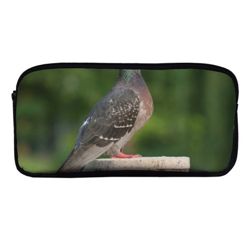 yanfind Pencil Case YHO Beak Vulture Stehende Fly Stock  Birds Wing Falconiformes Vogel Pigeon Bird Zipper Pens Pouch Bag for Student Office School