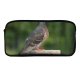 yanfind Pencil Case YHO Beak Vulture Stehende Fly Stock  Birds Wing Falconiformes Vogel Pigeon Bird Zipper Pens Pouch Bag for Student Office School