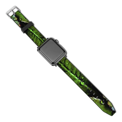 yanfind Watch Strap for Apple Watch Dark Leaves Drops Dew Closeup Macro   Greenery Compatible with iWatch Series 5 4 3 2 1