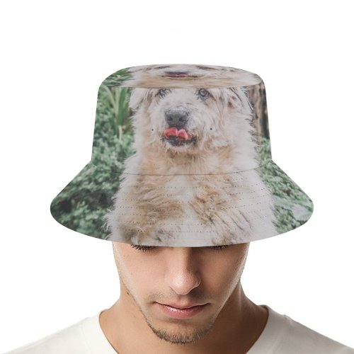 yanfind Adult Fisherman's Hat Lovely Images Pet Wallpapers Plant Outdoors Pictures Creative Grey Dog Commons Fishing Fisherman Cap Travel Beach Sun protection