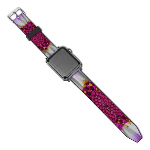 yanfind Watch Strap for Apple Watch Carsten Heyer Flowers Purple Flower Macro Closeup Petals  Bloom Spring Pericallis Compatible with iWatch Series 5 4 3 2 1