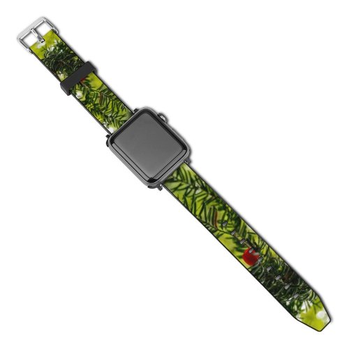 yanfind Watch Strap for Apple Watch Landscape Kilronan Plant Berries Explore Pictures Irish PNG Macro International Tree Compatible with iWatch Series 5 4 3 2 1