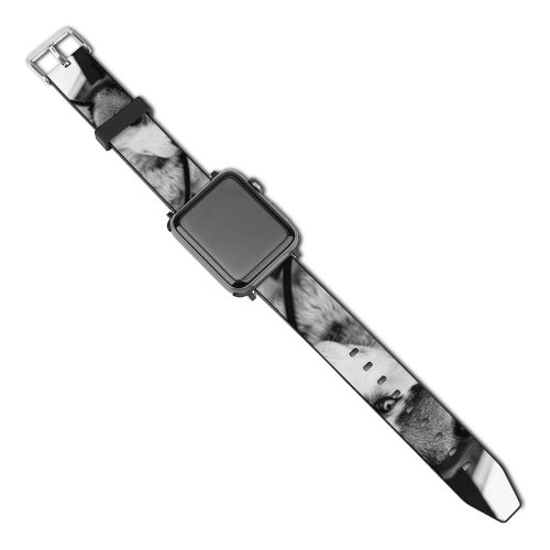 yanfind Watch Strap for Apple Watch Doglife Stare Pet Königsplatz Raphi Augsburg Pictures Grey Raphi_rawr Free Glance Compatible with iWatch Series 5 4 3 2 1