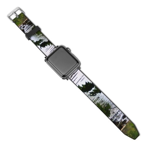 yanfind Watch Strap for Apple Watch Waterfall Plants Spring Rocks Stones Resources Watercourse Natural Landscape River Vegetation Compatible with iWatch Series 5 4 3 2 1