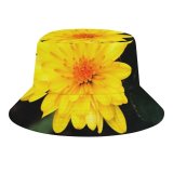 yanfind Adult Fisherman's Hat Plants Images Wallpapers Plant Asteraceae Blossom Flower Daisy Pollen Petal Daisies Free Fishing Fisherman Cap Travel Beach Sun protection