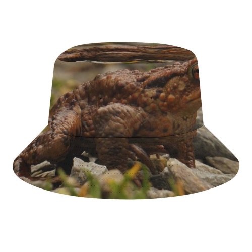 yanfind Adult Fisherman's Hat Relaxing Images Me Go Frog Toad Grumpy Public Lizard Wildlife Reptile Away Fishing Fisherman Cap Travel Beach Sun protection