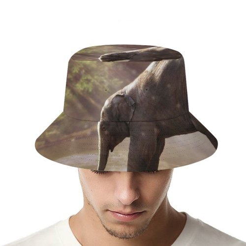 yanfind Adult Fisherman's Hat Comfreak Elephant Cub Rocks River Sun Rays Waterhole Daytime Fishing Fisherman Cap Travel Beach Sun protection
