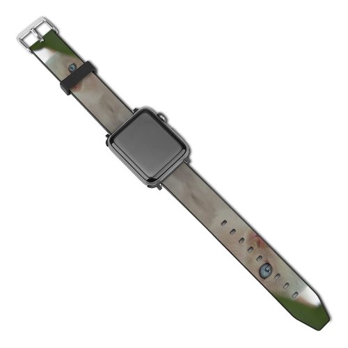 yanfind Watch Strap for Apple Watch Funny Curiosity Sit Cute Cat Young Baby  Little Kitten Pet Whisker Compatible with iWatch Series 5 4 3 2 1