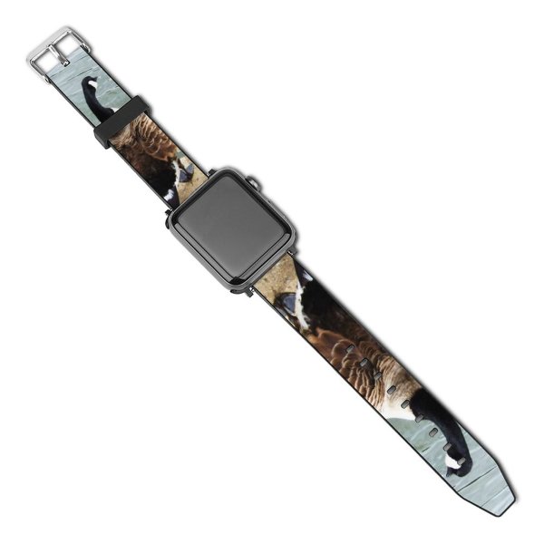 yanfind Watch Strap for Apple Watch Pond Lake Goose Duck Bird  Geese Wing Span Sunshine Ripples Vertebrate Compatible with iWatch Series 5 4 3 2 1