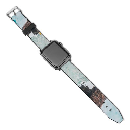 yanfind Watch Strap for Apple Watch Anthony Hayward Eagle Iceberg Birds Prey Raptors Bird Winter Closeup Compatible with iWatch Series 5 4 3 2 1