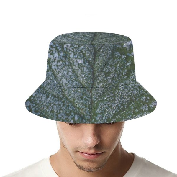 yanfind Adult Fisherman's Hat Images Floral Mist Frost Foliage Public Snow Wallpapers Plant Outdoors Scenery Winter Fishing Fisherman Cap Travel Beach Sun protection