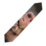 Yanfind Table Runner Ape Portrait Surprise Watching Fur Look Jaipur Peanut Eating Face Images Monkey Everyday Dining Wedding Party Holiday Home Decor