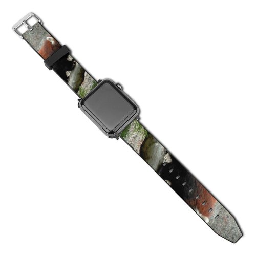 yanfind Watch Strap for Apple Watch Panda Firefox Endangered Species Racooon Smurfette Vertebrate Terrestrial Carnivore Wildlife National Park Compatible with iWatch Series 5 4 3 2 1