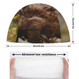 yanfind Swimming Cap Relaxing Images  Go Frog Toad Grumpy Public Lizard Wildlife Reptile Away Elastic,suitable for long and short hair