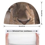 yanfind Swimming Cap Images Whiskers Africa Wildlife Safari   Free Lioness Watch Pictures Big Elastic,suitable for long and short hair