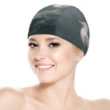 yanfind Swimming Cap Shoreline Images Feathers Shore Seagull Wild Bill Wallpapers Sea Wildlife Stock Free Elastic,suitable for long and short hair