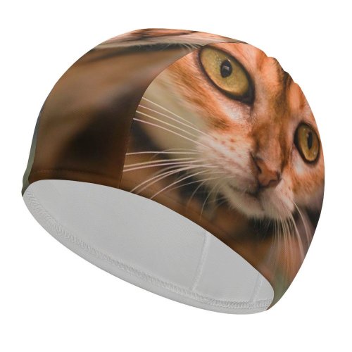 yanfind Swimming Cap Lovely Images Pet Manx Public Wuhan Wallpapers Abyssinian Pictures Cat China Kitten Elastic,suitable for long and short hair