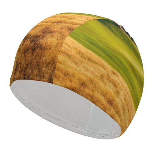 yanfind Swimming Cap Trey Ratcliff  Course Landscape Mountains Lake Par Scenery Elastic,suitable for long and short hair